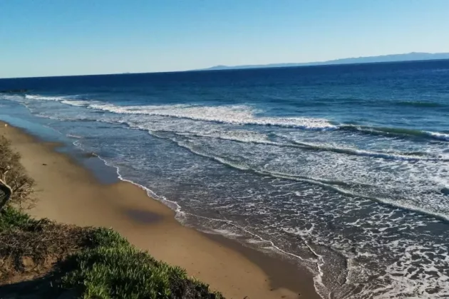 Picture of a coastline in sunshine